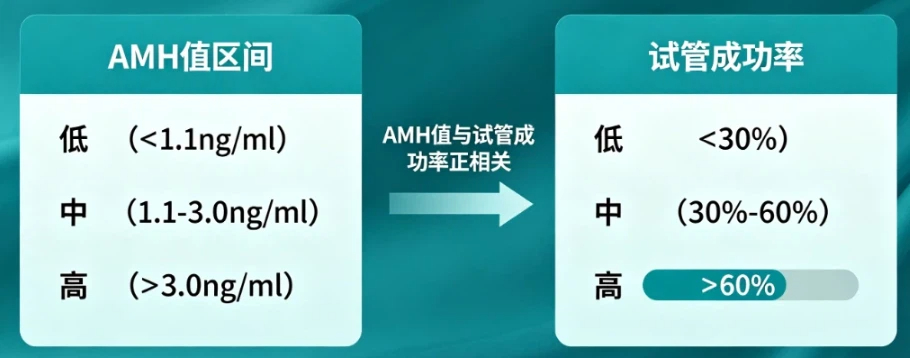 试管对amh值的最低要求？广州姐妹必看，低于1也有希望