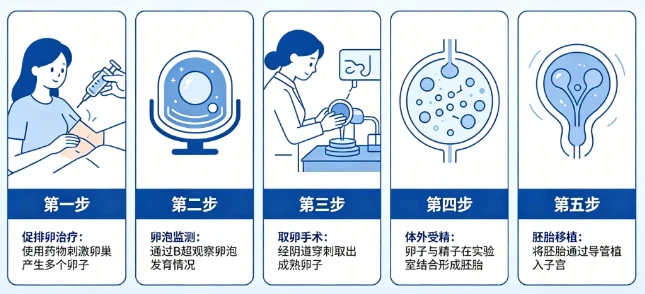 做试管婴儿的全部流程要几个月左右？广州实测，不掺水、不忽悠
