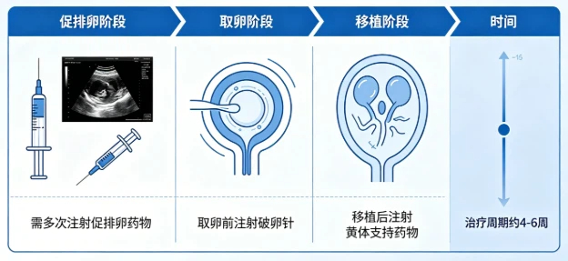 做试管婴儿要打很多针吗？从业10年，我把打针这件事说透
